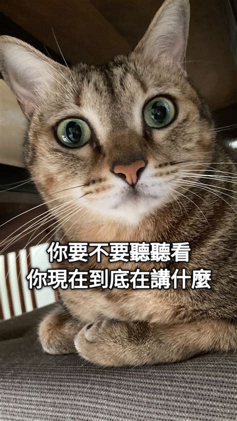 你要講什麼